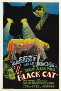 دانلود فیلم The Black Cat 1934378235-686325699