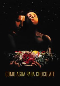 دانلود فیلم Like Water for Chocolate 1992387861-940658693