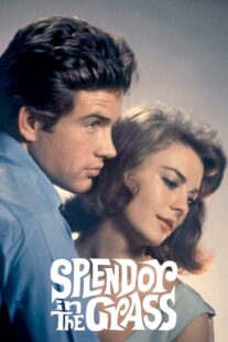 دانلود فیلم Splendor in the Grass 1961382554-1352398398