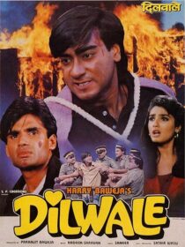 دانلود فیلم هندی Dilwale 1994387960-956956797