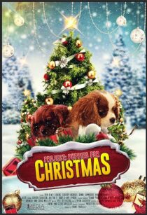 دانلود فیلم Project: Puppies for Christmas 2019390454-227689348