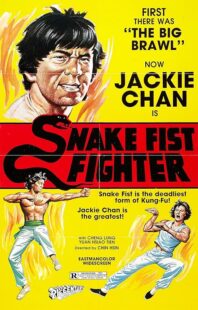 دانلود فیلم Snake Fist Fighter 1973388650-514529792