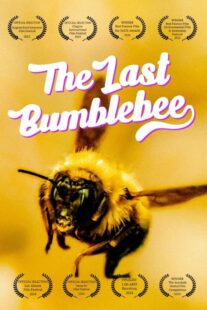 دانلود مستند The Last Bumblebee 2024399140-1696686881