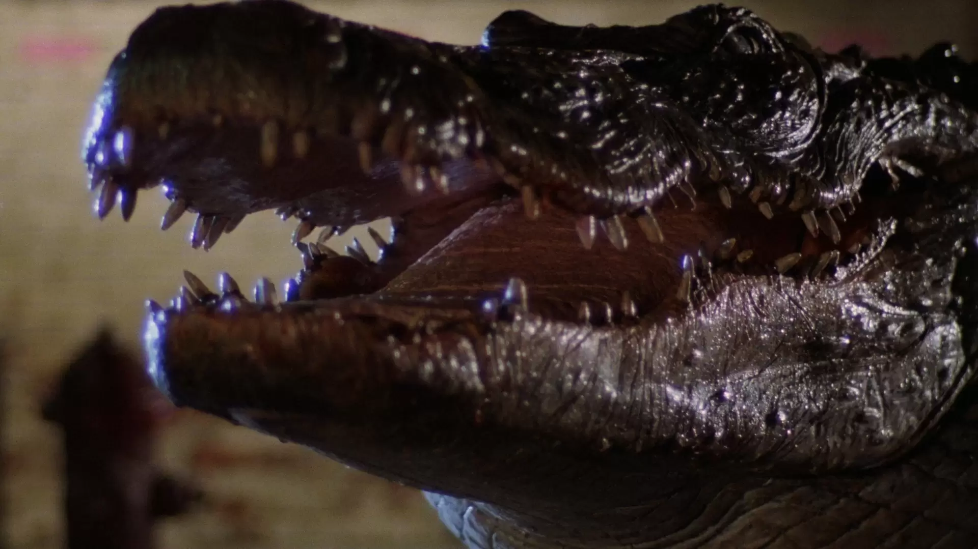 دانلود فیلم Alligator 1980