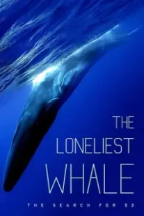 دانلود فیلم The Loneliest Whale: The Search for 52 2021403098-579724665