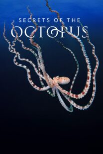 دانلود سریال Secrets of the Octopus401286-135643776