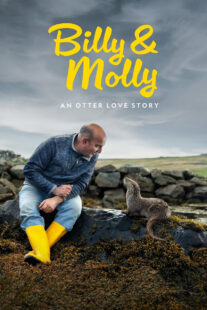 دانلود مستند Billy & Molly: An Otter Love Story 2024400769-920504734