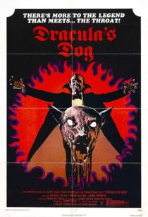 دانلود فیلم Dracula’s Dog 1977407625-2046435088