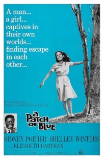 دانلود فیلم A Patch of Blue 1965409977-647083171