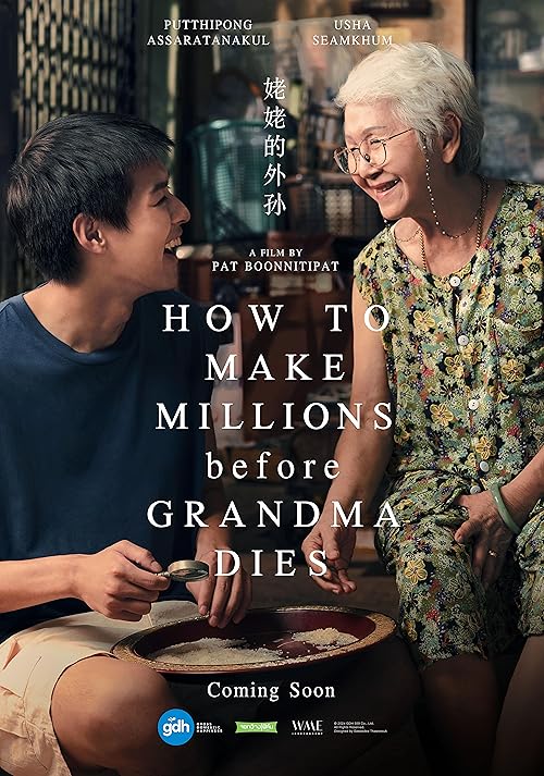 دانلود فیلم How to Make Millions Before Grandma Dies 2024