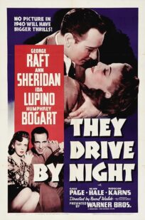 دانلود فیلم They Drive by Night 1940411221-740030098