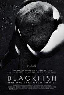 دانلود فیلم Blackfish 2013412328-1739016978