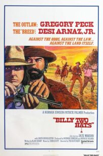 دانلود فیلم Billy Two Hats 1974411057-1774697610