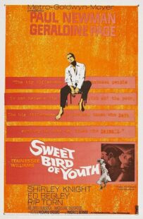دانلود فیلم Sweet Bird of Youth 1962415738-141250643