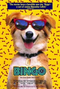 دانلود فیلم Bingo 1991417459-472056109