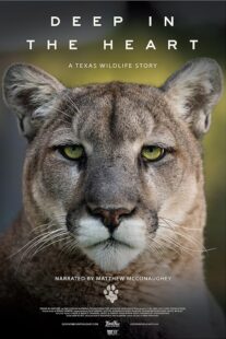 دانلود مستند Deep in the Heart: A Texas Wildlife Story 2022421545-475578318