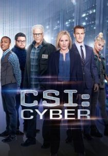 دانلود سریال CSI: Cyber428329-1984499958