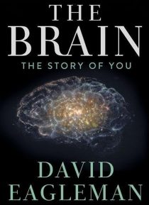 دانلود سریال The Brain with Dr. David Eagleman428613-763000460