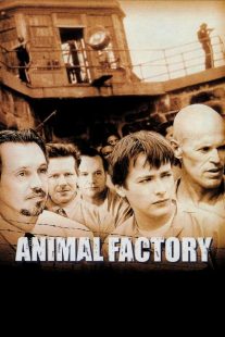 دانلود فیلم Animal Factory 2000430534-497604914