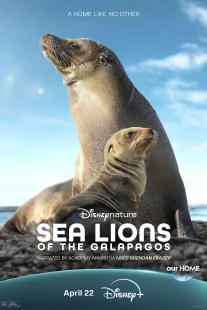 دانلود مستند Sea Lions of the Galapagos 2025431056-1765544143